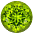 August Birthstone Peridot