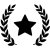 award winner icon